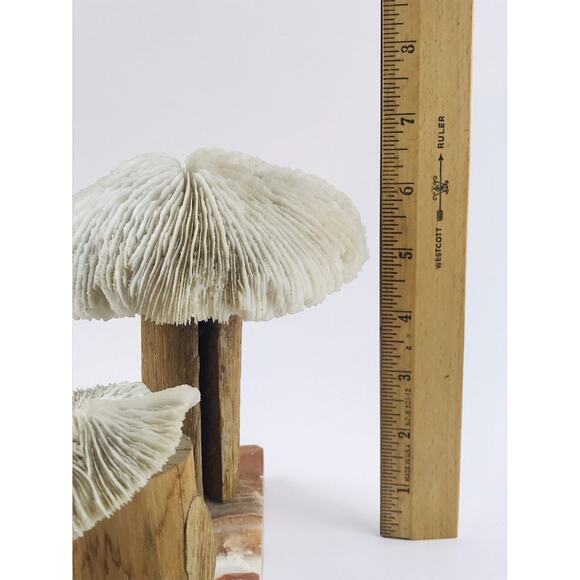 Vintage Banded Stone Marble Two Mushroom White Sculpture Primitive Wood Coral Ar - Picture 12 of 12